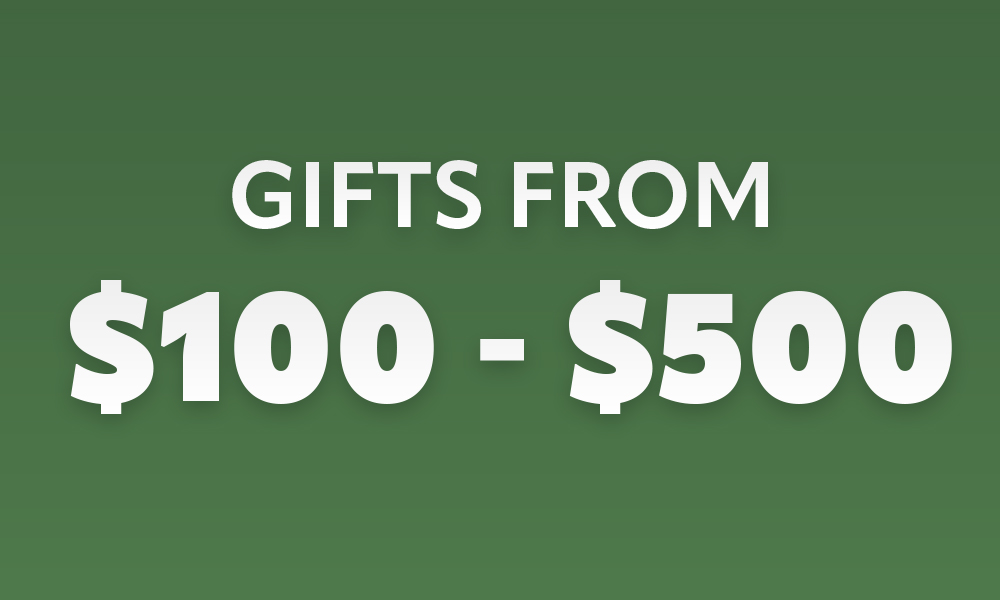 Christmas Gift Ideas From $100 to $500