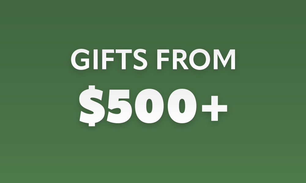 Christmas Gift Ideas From $500+