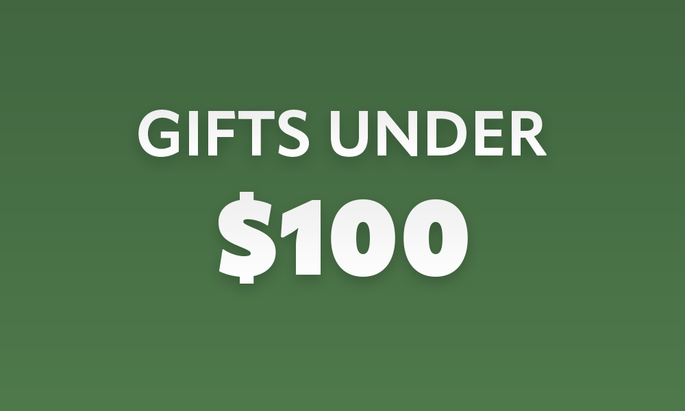 Christmas Gift Ideas Under $100