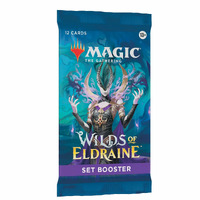 Magic the Gathering: Wilds of Eldraine Set Booster (One Only)