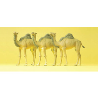 Preiser HO Camels