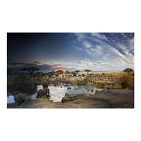 4D Puzzle 1000pc Stephen Wilkes 'Serengeti National Park, Day to Night' Jigsaw Puzzle