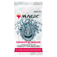 Magic the Gathering: Dungeons & Dragons Adventures in the Forgotten Realms Collector Booster Display (12 Boosters)