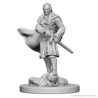 Dungeons & Dragons Nolzurs Marvelous Unpainted Miniatures Vampires