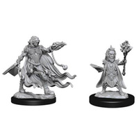 Pathfinder Deep Cuts Unpainted Miniatures Evil Wizard