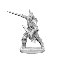 Pathfinder Deep Cuts Unpainted Miniatures Human Male Fighter