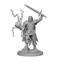 Pathfinder Deep Cuts Unpainted Miniatures Human Male Cleric