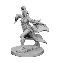 Pathfinder Deep Cuts Unpainted Miniatures Elf Female Sorcerer