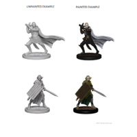 Pathfinder Deep Cuts Unpainted Miniatures Elf Male Paladin