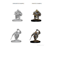 Dungeons & Dragons Nolzurs Marvelous Unpainted Miniatures Dwarf Female Fighter