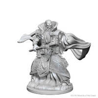 Dungeons & Dragons Nolzurs Marvelous Unpainted Miniatures Human Male Wizard