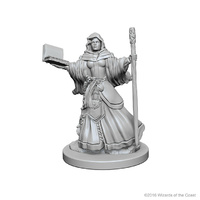 Dungeons & Dragons Nolzurs Marvelous Unpainted Miniatures Human Female Wizard