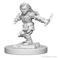 Dungeons & Dragons Nolzurs Marvelous Unpainted Miniatures Halfling Female Rogue