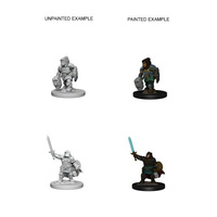 Dungeons & Dragons Nolzurs Marvelous Unpainted Miniatures Dwarf Female Paladin