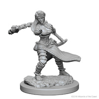 Dungeons & Dragons Nolzurs Marvelous Unpainted Miniatures Human Female Monk