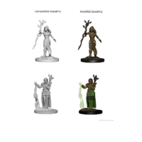 Dungeons & Dragons Nolzurs Marvelous Unpainted Miniatures Human Male Druid