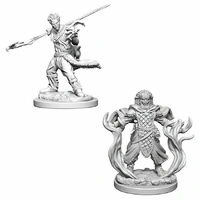 Dungeons & Dragons Nolzurs Marvelous Unpainted Miniatures Human Male Druid