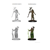 Dungeons & Dragons Nolzurs Marvelous Unpainted Miniatures Human Female Druid