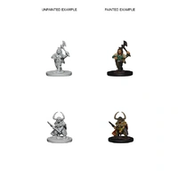 Dungeons & Dragons Nolzurs Marvelous Unpainted Miniatures Dwarf Female Barbarian