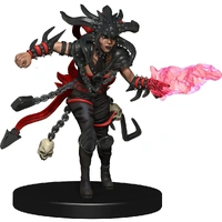 Dungeons & Dragons Icons of the Realms Guildmasters Guide to Ravnica Companion Starter Two