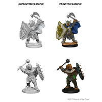 Dungeons & Dragons Nolzurs Marvelous Unpainted Miniatures Dragonborn Male Paladin