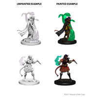 Dungeons & Dragons Nolzurs Marvelous Unpainted Miniatures Tiefling Female Sorcerer