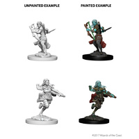 Dungeons & Dragons Nolzurs Marvelous Unpainted Miniatures Air Genasi Female Rogue