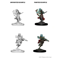 Dungeons & Dragons Nolzurs Marvelous Unpainted Miniatures Air Genasi Female Rogue