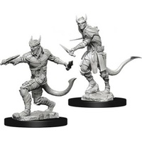 Dungeons & Dragons Nolzurs Marvelous Miniatures Tiefling Male Rogue