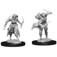 Dungeons & Dragons Nolzurs Marvelous Miniatures Tiefling Female Rogue