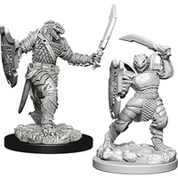Dungeons & Dragons Nolzurs Marvelous Miniatures Dragonborn Female Paladin