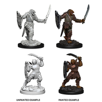 Dungeons & Dragons Nolzurs Marvelous Miniatures Dragonborn Female Paladin