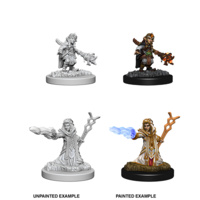 Dungeons & Dragons Nolzurs Marvelous Miniatures Female Gnome Wizard