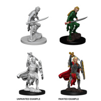 Dungeons & Dragons Nolzurs Marvelous Miniatures Female Elf Fighter