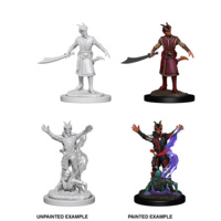 Dungeons & Dragons Nolzurs Marvelous Miniatures Male Tiefling Warlock