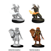 Dungeons & Dragons Nolzurs Marvelous Miniatures Male Human Druid