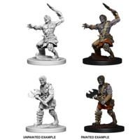 Dungeons & Dragons Nolzurs Marvelous Miniatures Nameless One