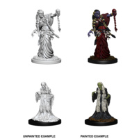 Dungeons & Dragons Nolzurs Marvelous Miniatures Green Hag & Night Hag