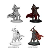Pathfinder Battles Deep Cuts Female Knights / Gray Maidens