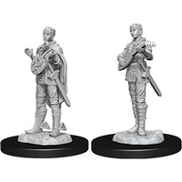Dungeons & Dragons Nolzurs Marvelous Miniatures Female Half Elf Bard