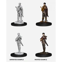 Dungeons & Dragons Nolzurs Marvelous Miniatures Female Half Elf Bard