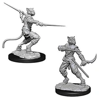 Dungeons & Dragons Nolzurs Marvelous Miniatures Male Tabaxi Rogue