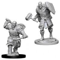 Dungeons & Dragons Nolzurs Marvelous Miniatures Male Goliath Fighter