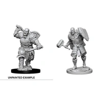 Dungeons & Dragons Nolzurs Marvelous Miniatures Male Goliath Fighter