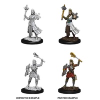 Dungeons & Dragons Nolzurs Marvelous Miniatures Female Human Cleric