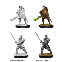 Dungeons & Dragons Nolzurs Marvelous Miniatures Male Human Fighter