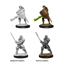 Dungeons & Dragons Nolzurs Marvelous Miniatures Male Human Fighter
