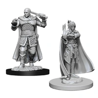 Dungeons & Dragons Nolzurs Marvelous Miniatures Human Ranger & Moon Elf Sorcerer