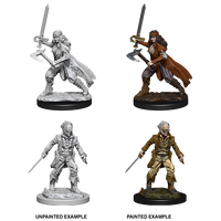 Dungeons & Dragons Nolzurs Marvelous Miniatures Vampire Hunters
