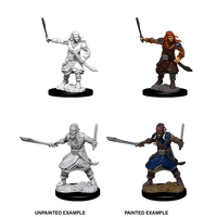Dungeons & Dragons Nolzurs Marvelous Miniatures Bandits